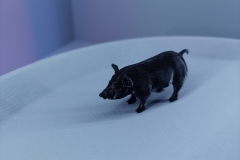 20210406_230059